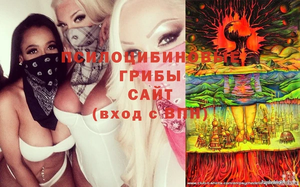 Альфа ПВП Балахна