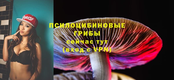 Альфа ПВП Балахна