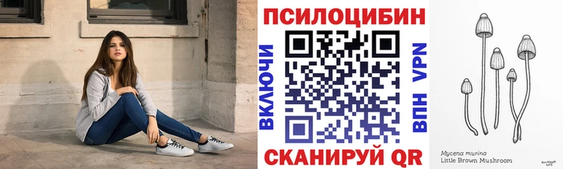 Галлюциногенные грибы Cubensis блэк спрут зеркало Кондрово